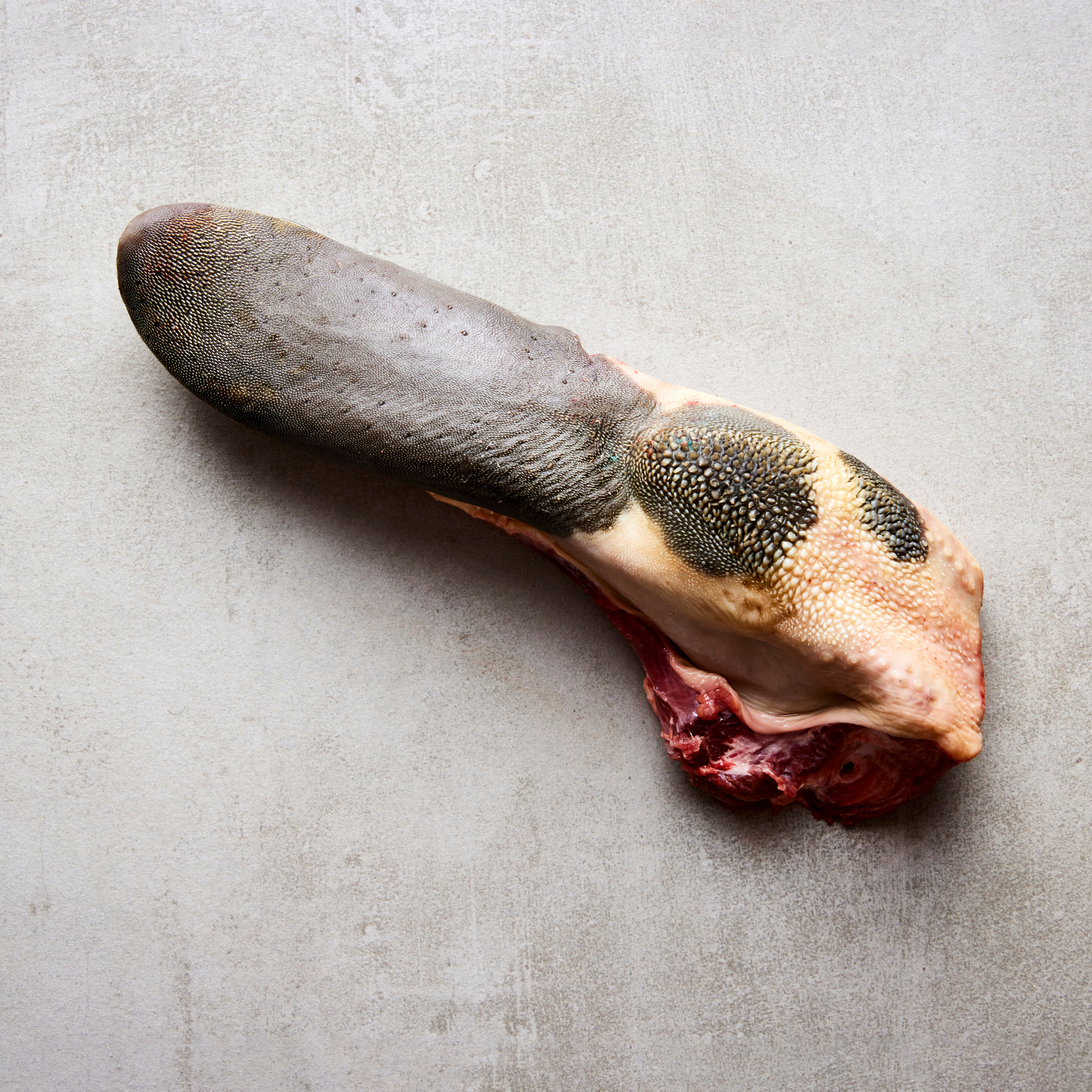 Bio Zunge vom Black Angus Rind