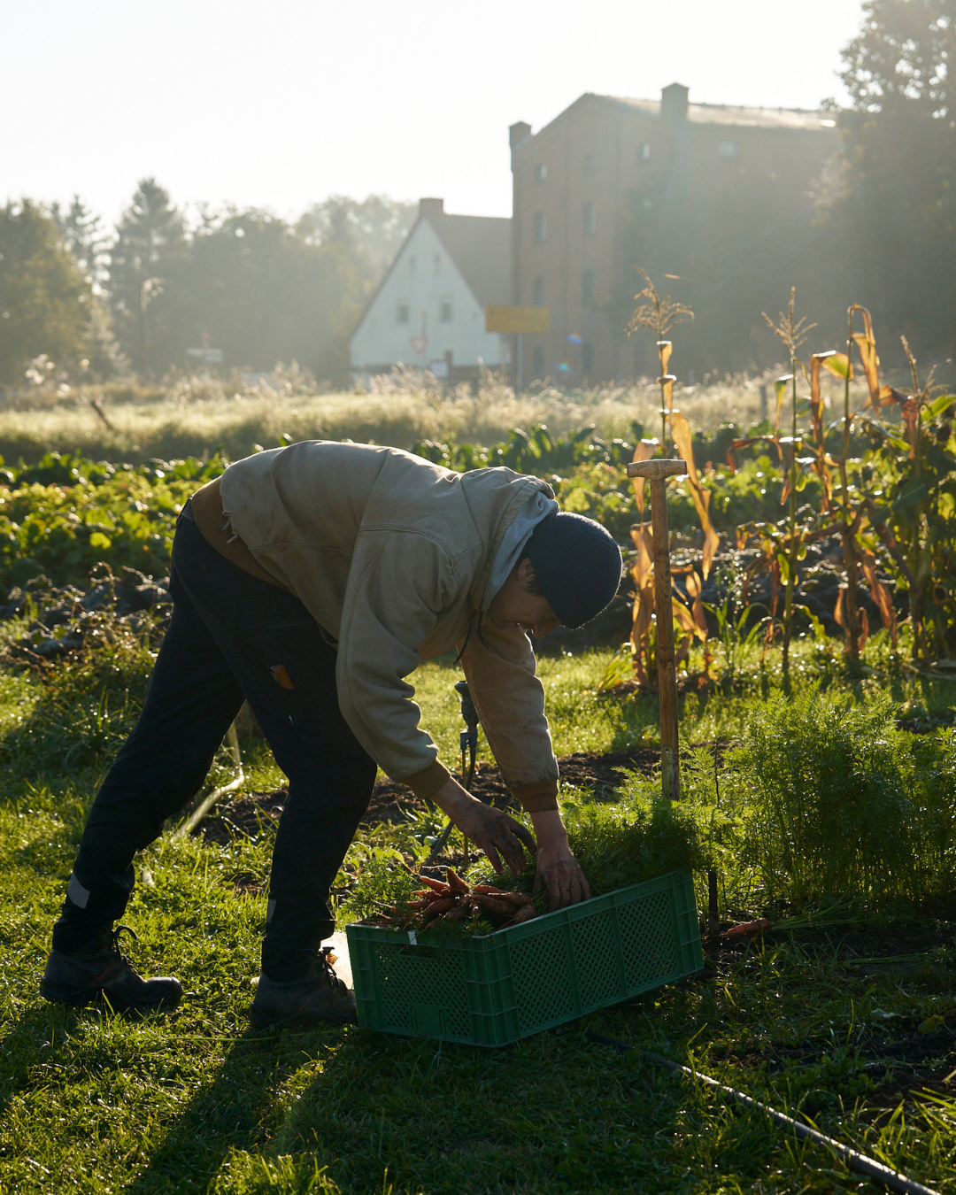 BEEF ACADEMY AUF GUT KERKOW | KOCHKURS & DINNER | 17. JANUAR 2026