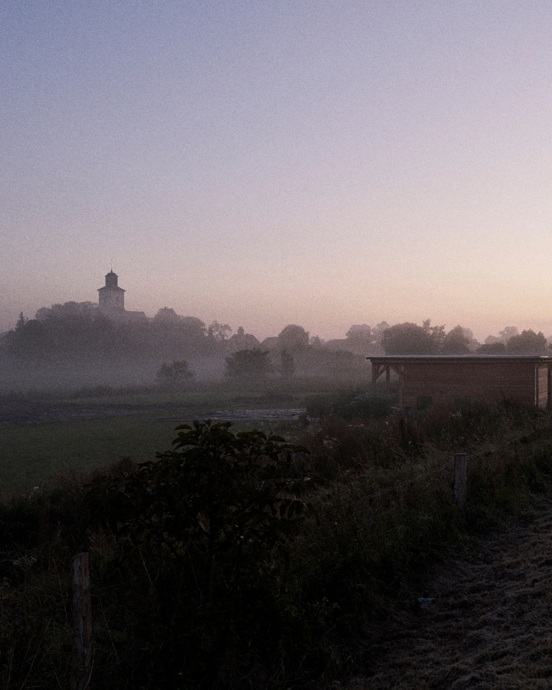 BEEF ACADEMY AUF GUT KERKOW | KOCHKURS &amp; DINNER | 17. JANUAR 2026